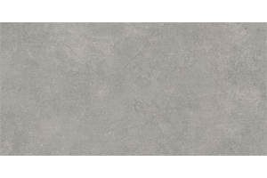 60х120 Newcon Серебристо-Серый Матовый R10A Ректификат 